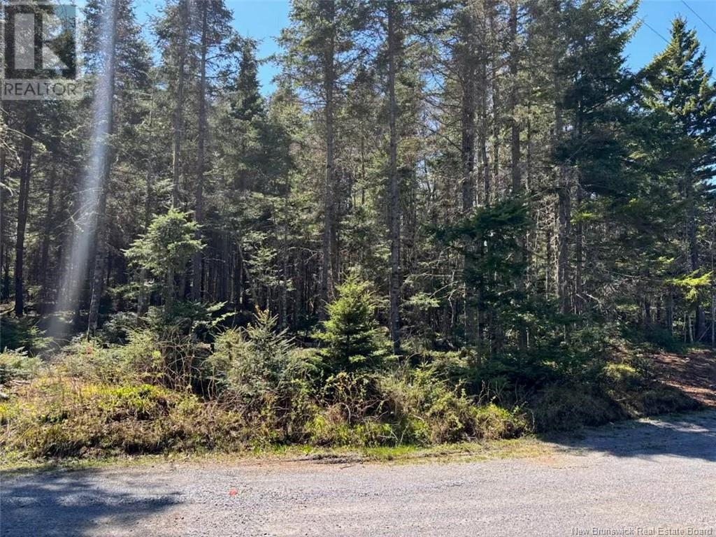 Lot 25-4 Peaceful Mountain Lane, Clifton Royal, New Brunswick  E5S 2N4 - Photo 3 - NB118473