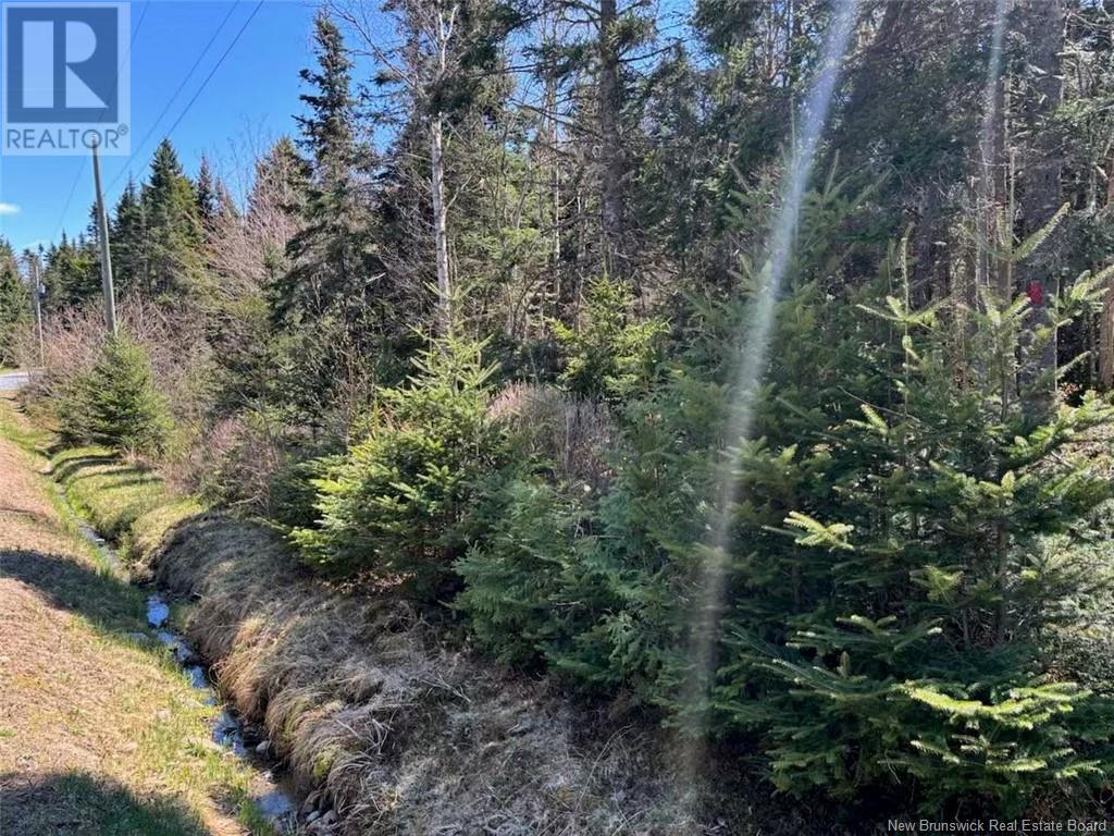 Lot 25-4 Peaceful Mountain Lane, Clifton Royal, New Brunswick  E5S 2N4 - Photo 4 - NB118473