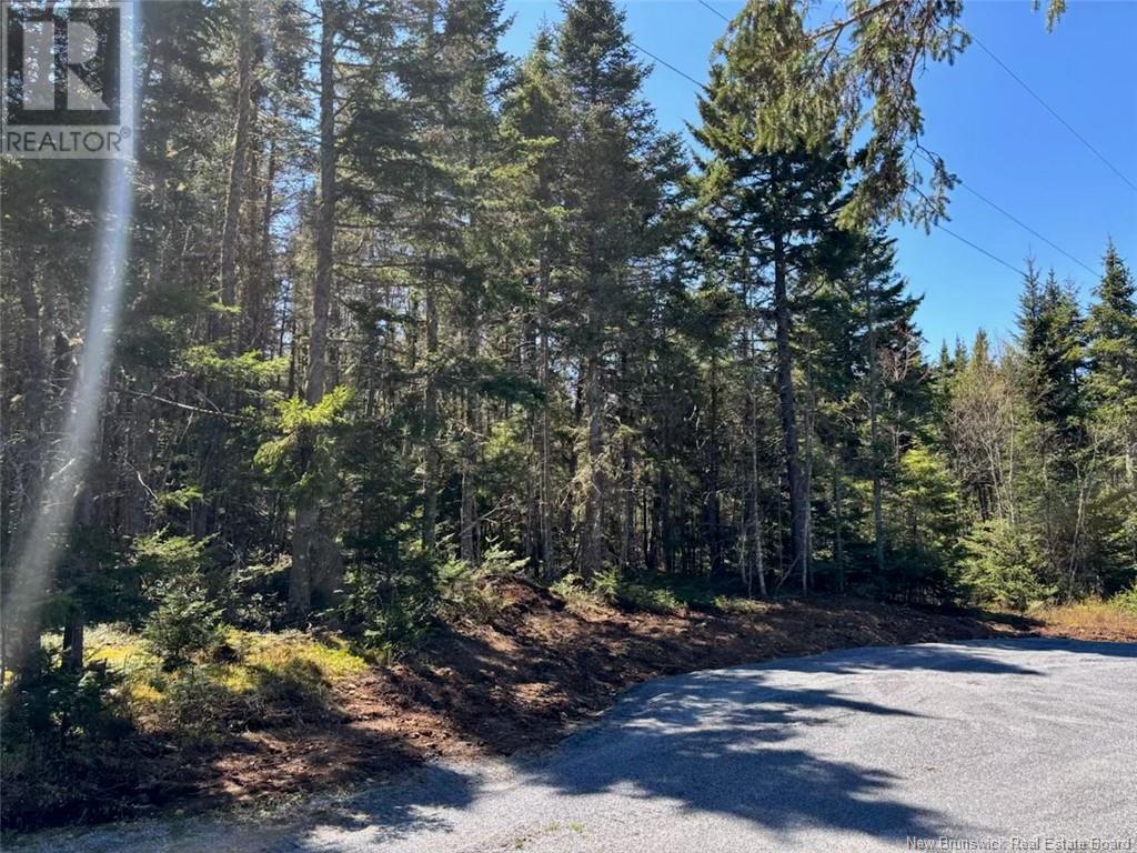 Lot 25-4 Peaceful Mountain Lane, Clifton Royal, New Brunswick  E5S 2N4 - Photo 5 - NB118473