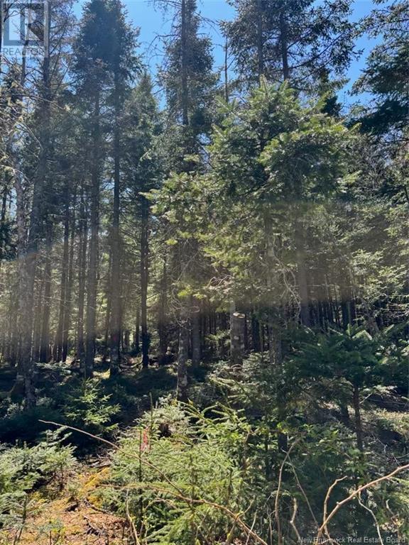 Lot 25-4 Peaceful Mountain Lane, Clifton Royal, New Brunswick  E5S 2N4 - Photo 6 - NB118473