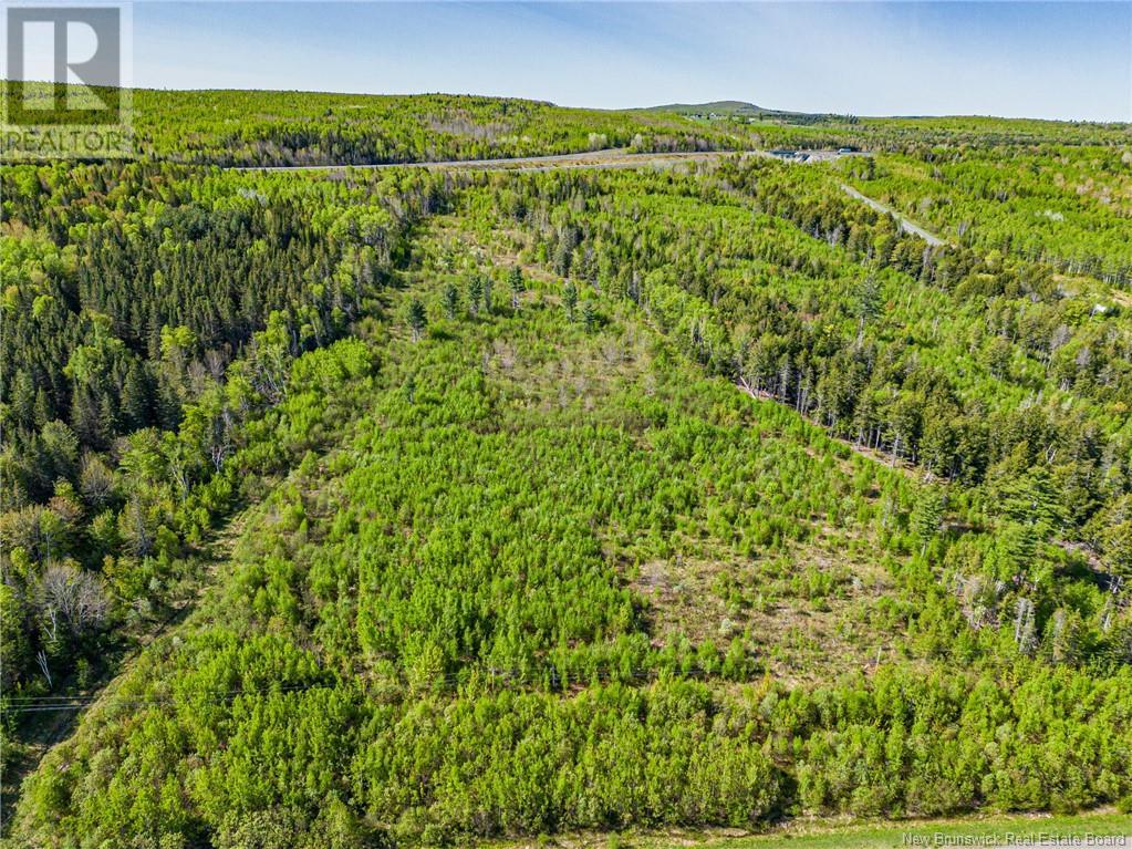 Land Old 2 Highway, Nackawic, New Brunswick