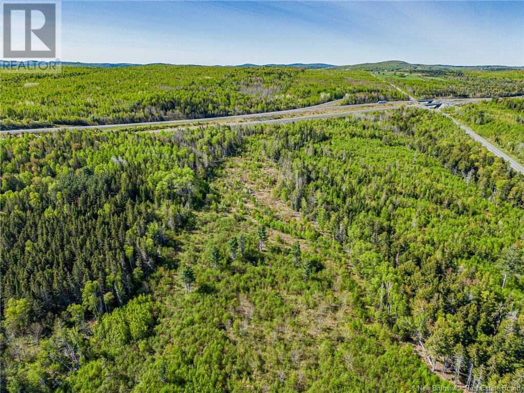 Land Old 2 Highway, Nackawic, New Brunswick  E6H 1G8 - Photo 2 - NB118480