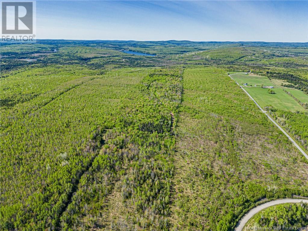 Land Old 2 Highway, Nackawic, New Brunswick  E6H 1G8 - Photo 6 - NB118480