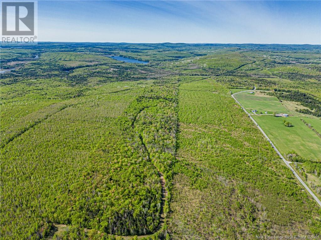 Land Old 2 Highway, Nackawic, New Brunswick  E6H 1G8 - Photo 7 - NB118480