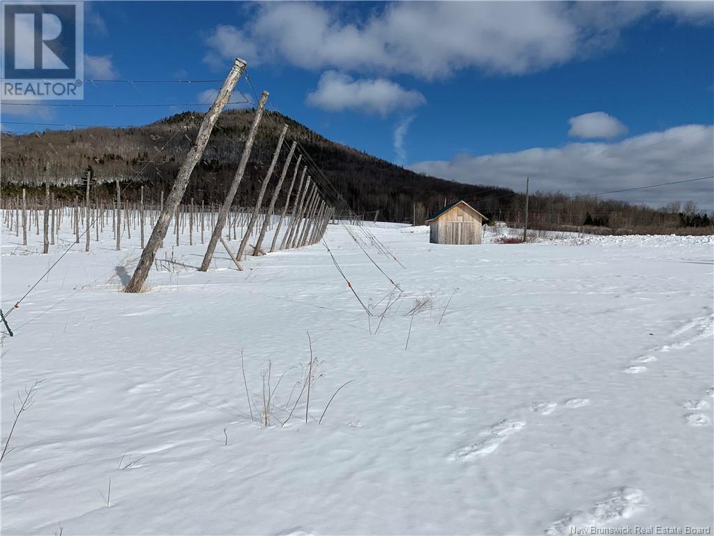 116 Maplehurst Road, Maplehurst, New Brunswick  E7J 1S1 - Photo 14 - NB118503