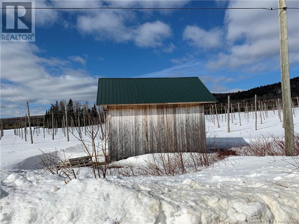 116 Maplehurst Road, Maplehurst, New Brunswick  E7J 1S1 - Photo 18 - NB118503