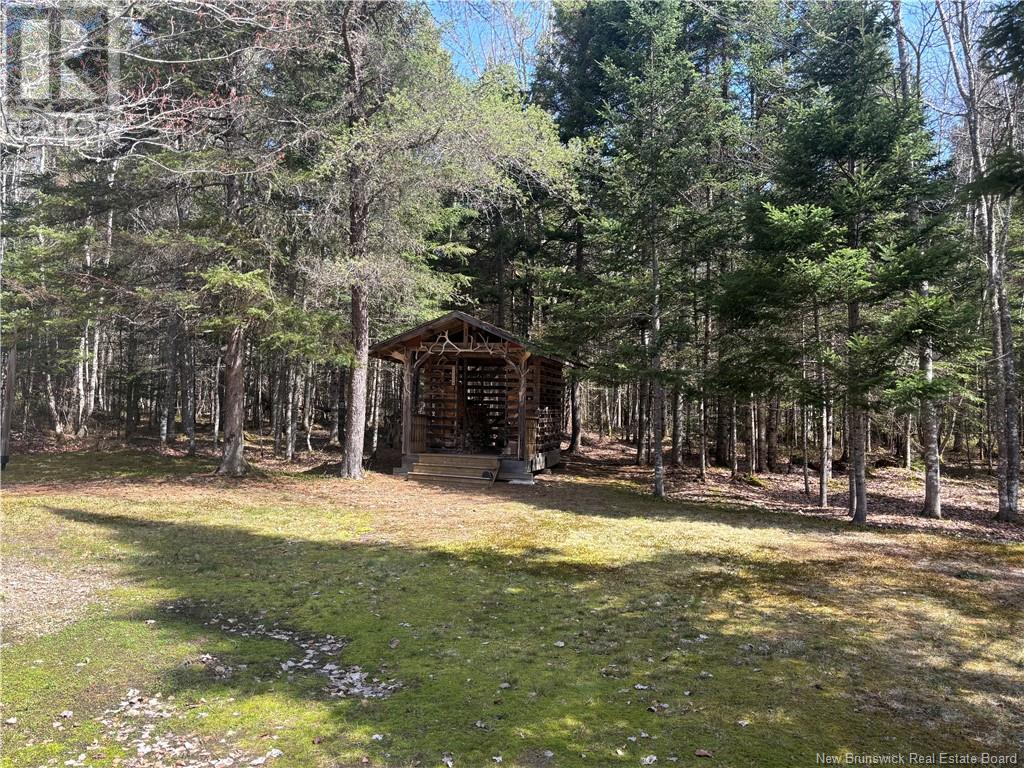198 Forks Stream, Canaan, New Brunswick  E4Z 5Y2 - Photo 11 - NB118451