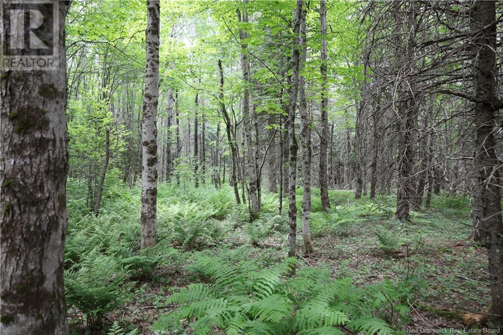 Lot 23-3 North Barnaby Road, Barnaby River, New Brunswick  E1N 6G4 - Photo 3 - NB118514