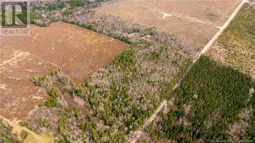 110 Cleveland Road, South Branch, New Brunswick  E4E 5E2 - Photo 49 - NB118516