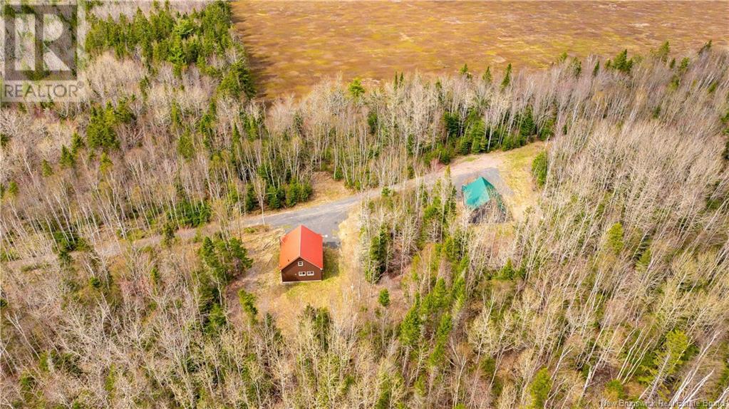 110 Cleveland Road, South Branch, New Brunswick  E4E 5E2 - Photo 45 - NB118513