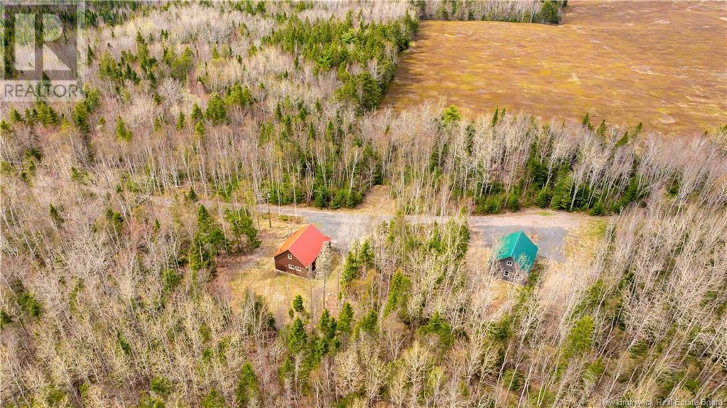 110 Cleveland Road, South Branch, New Brunswick  E4E 5E2 - Photo 47 - NB118513