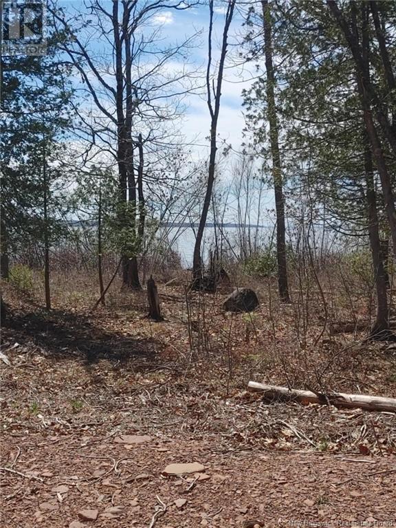 Lot 5 Sand Bar Lane, Cumberland Bay, New Brunswick  E4A 2Y8 - Photo 7 - NB118472