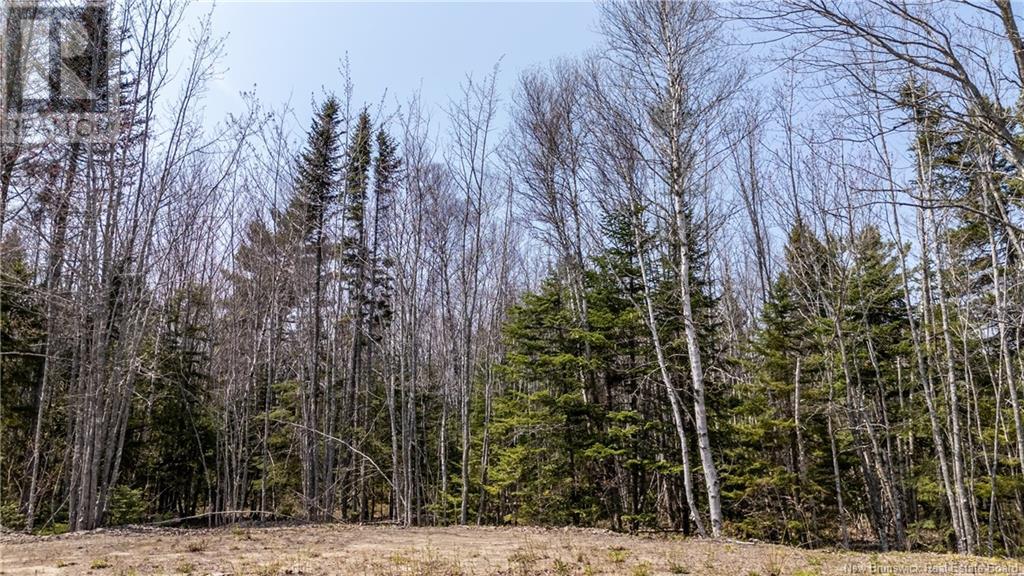 1387 Bells Mills Road, Richibouctou-Village, New Brunswick  E4W 5N9 - Photo 10 - NB118548