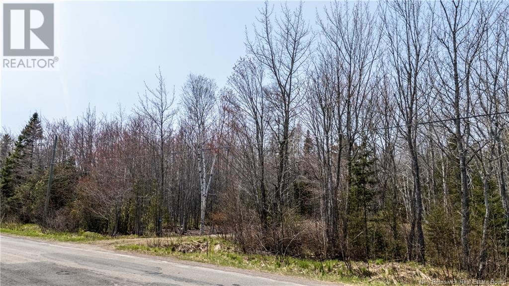 1387 Bells Mills Road, Richibouctou-Village, New Brunswick  E4W 5N9 - Photo 11 - NB118548