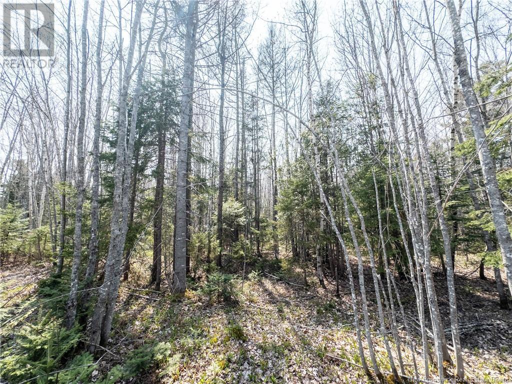 1387 Bells Mills Road, Richibouctou-Village, New Brunswick  E4W 5N9 - Photo 15 - NB118548