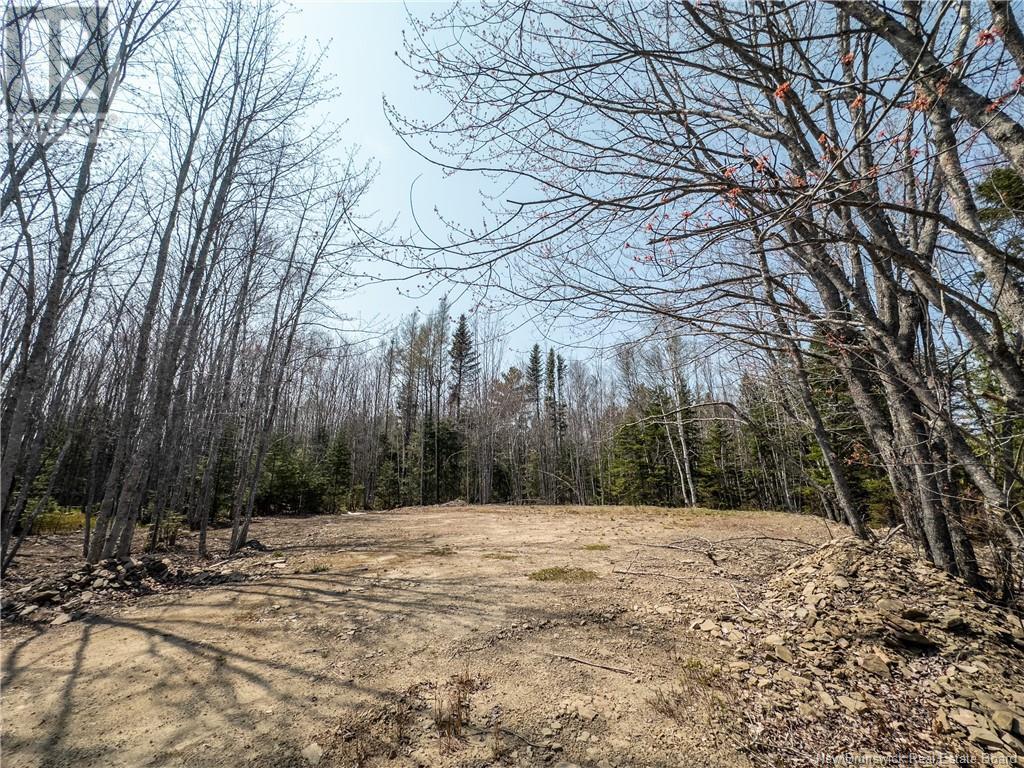 1387 Bells Mills Road, Richibouctou-Village, New Brunswick  E4W 5N9 - Photo 16 - NB118548