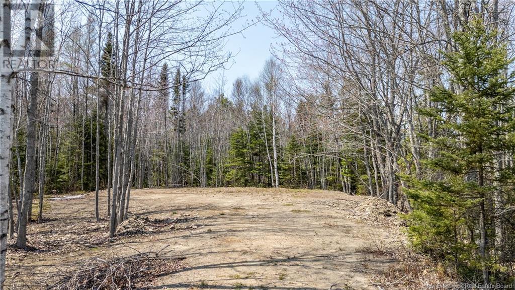 1387 Bells Mills Road, Richibouctou-Village, New Brunswick  E4W 5N9 - Photo 17 - NB118548