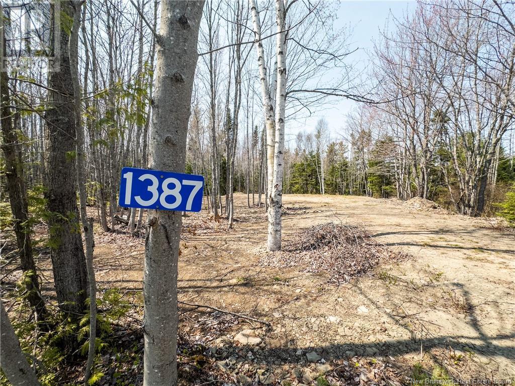 1387 Bells Mills Road, Richibouctou-Village, New Brunswick  E4W 5N9 - Photo 2 - NB118548