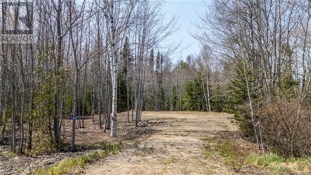 1387 Bells Mills Road, Richibouctou-Village, New Brunswick  E4W 5N9 - Photo 21 - NB118548