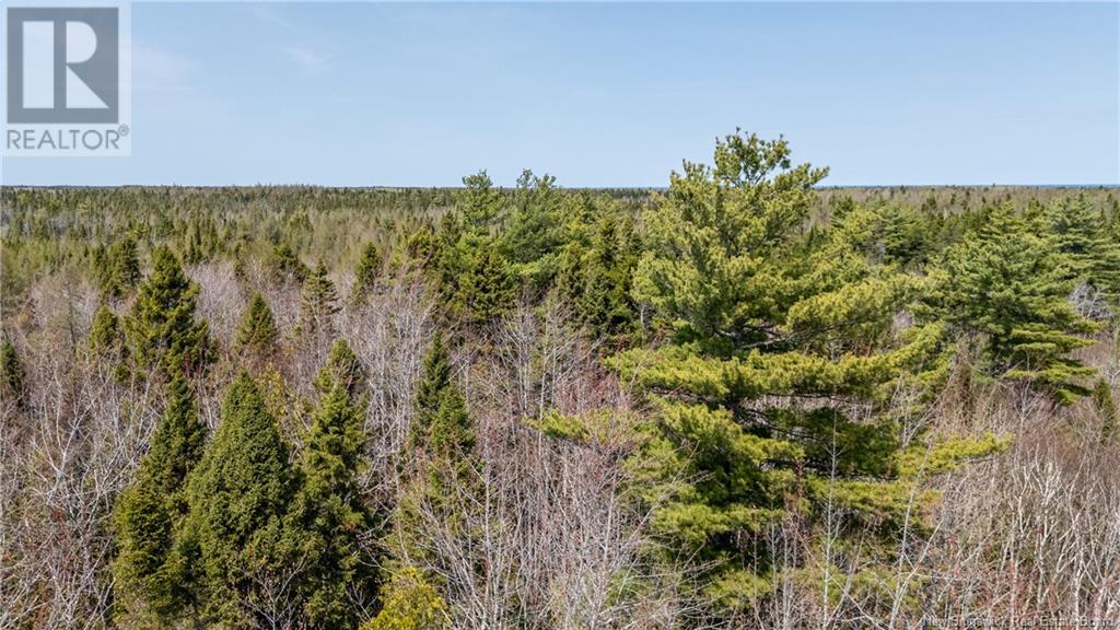 1387 Bells Mills Road, Richibouctou-Village, New Brunswick  E4W 5N9 - Photo 25 - NB118548