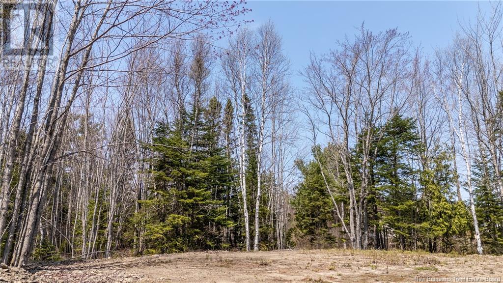 1387 Bells Mills Road, Richibouctou-Village, New Brunswick  E4W 5N9 - Photo 4 - NB118548