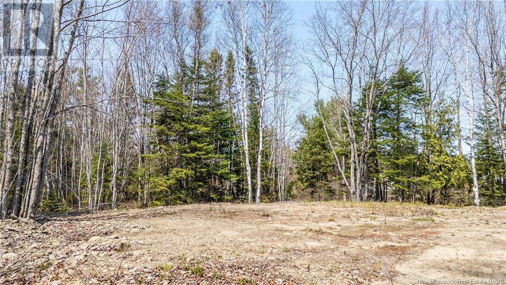 1387 Bells Mills Road, Richibouctou-Village, New Brunswick  E4W 5N9 - Photo 8 - NB118548