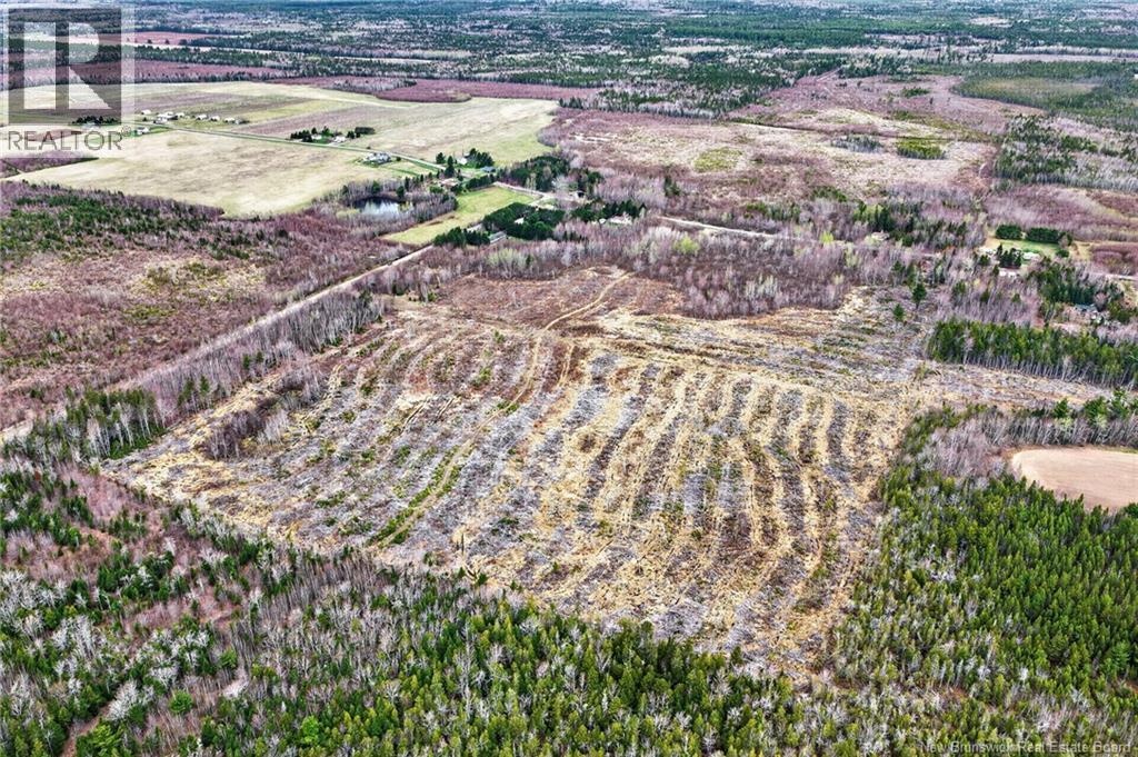 Lot Perry Road, Saint-Edouard-De-Kent, New Brunswick E4S 4T2 - Photo 4 - NB118565
