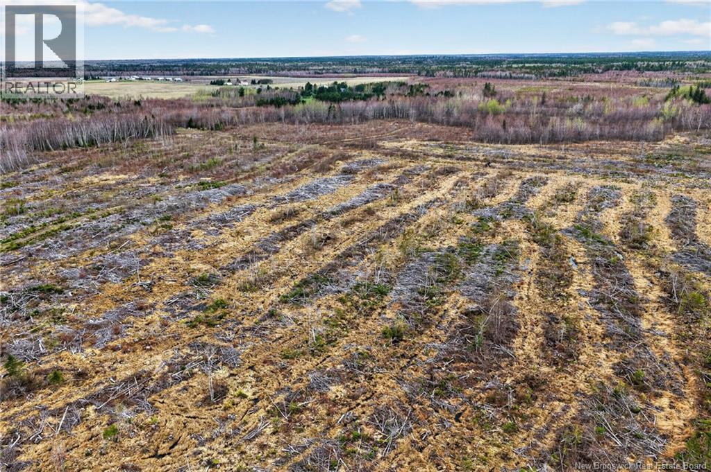 Lot Perry Road, Saint-Edouard-De-Kent, New Brunswick E4S 4T2 - Photo 5 - NB118565