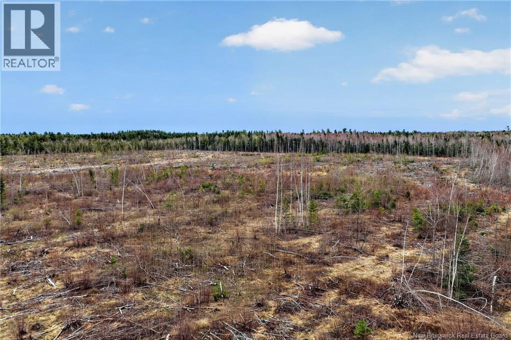 Lot Perry Road, Saint-Edouard-De-Kent, New Brunswick E4S 4T2 - Photo 7 - NB118565