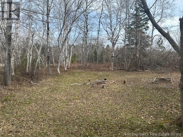 797 Chaleur Street, Charlo, New Brunswick  E8E 2E1 - Photo 20 - NB118563