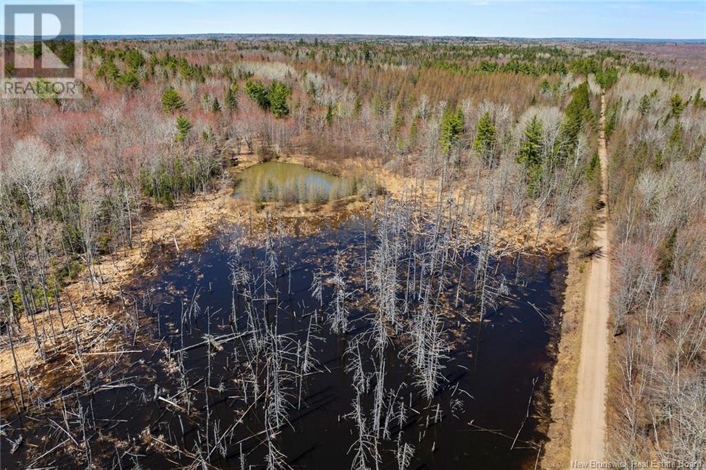 265-6 Sunpoke Road, Rusagonis, New Brunswick  E3B 8Y3 - Photo 10 - NB118624