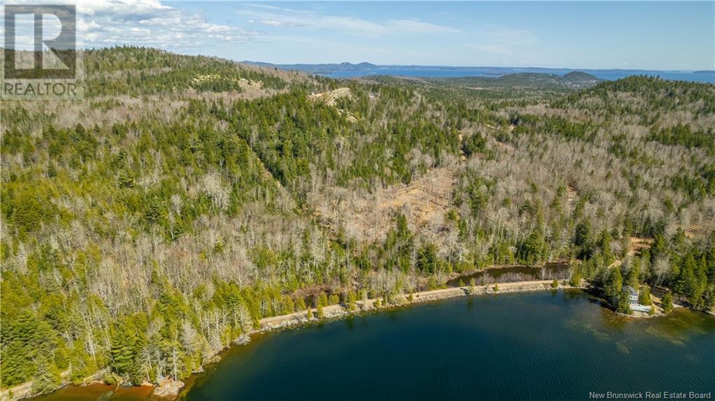 Lot 2021-01 And 02 Frye Road, Chamcook, New Brunswick  E5B 0C3 - Photo 18 - NB117111