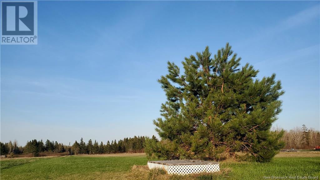 1156 Chemin Alcida, Alcida, New Brunswick  E8J 2C3 - Photo 2 - NB118682
