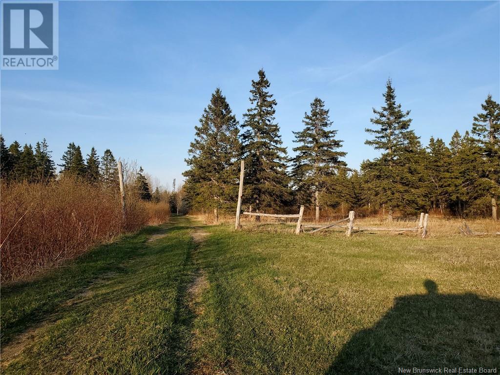 1156 Chemin Alcida, Alcida, New Brunswick  E8J 2C3 - Photo 3 - NB118682