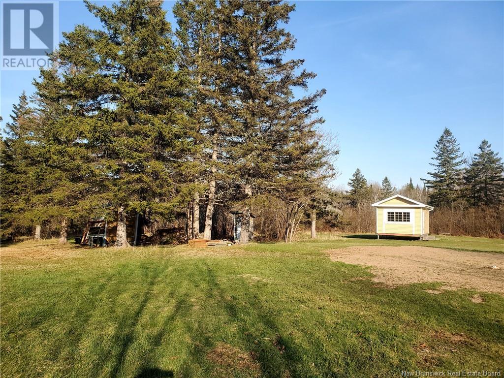 1156 Chemin Alcida, Alcida, New Brunswick  E8J 2C3 - Photo 5 - NB118682