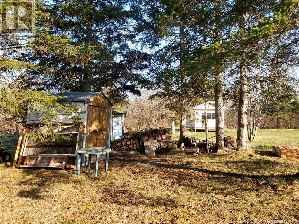 1156 Chemin Alcida, Alcida, New Brunswick  E8J 2C3 - Photo 9 - NB118682