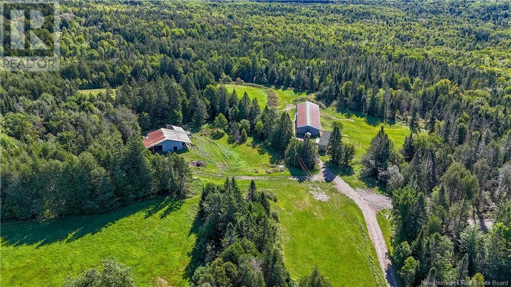 3864 Route 620, Tay Creek, New Brunswick  E3B 1K1 - Photo 31 - NB118676
