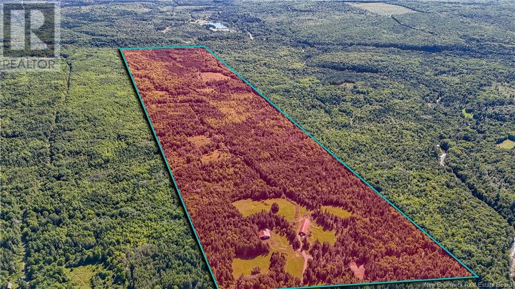 3864 Route 620, Tay Creek, New Brunswick  E3B 1K1 - Photo 36 - NB118676