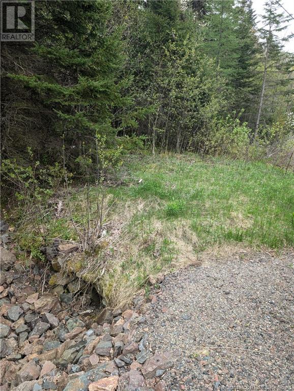 Lot 91-10 Drurys Cove Road, Ratter Corner, New Brunswick