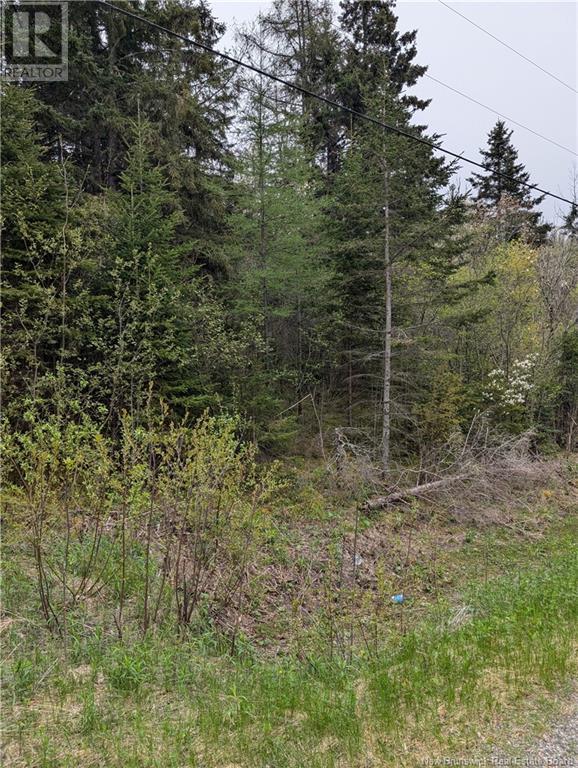 Lot 91-10 Drurys Cove Road, Ratter Corner, New Brunswick  E4E 3L3 - Photo 2 - NB118639