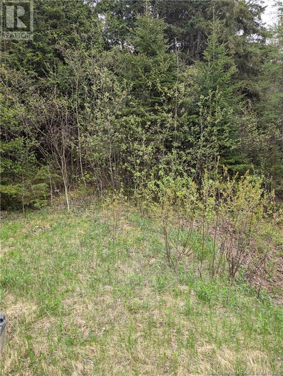 Lot 91-10 Drurys Cove Road, Ratter Corner, New Brunswick  E4E 3L3 - Photo 3 - NB118639