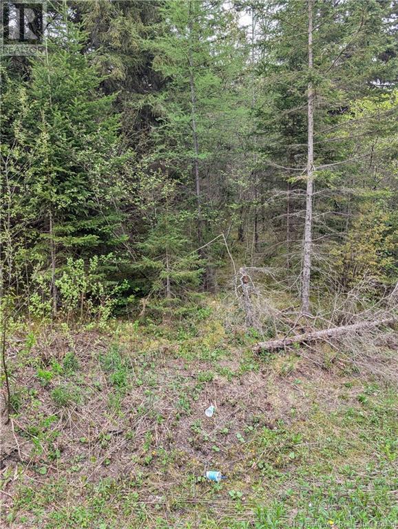 Lot 91-10 Drurys Cove Road, Ratter Corner, New Brunswick  E4E 3L3 - Photo 4 - NB118639