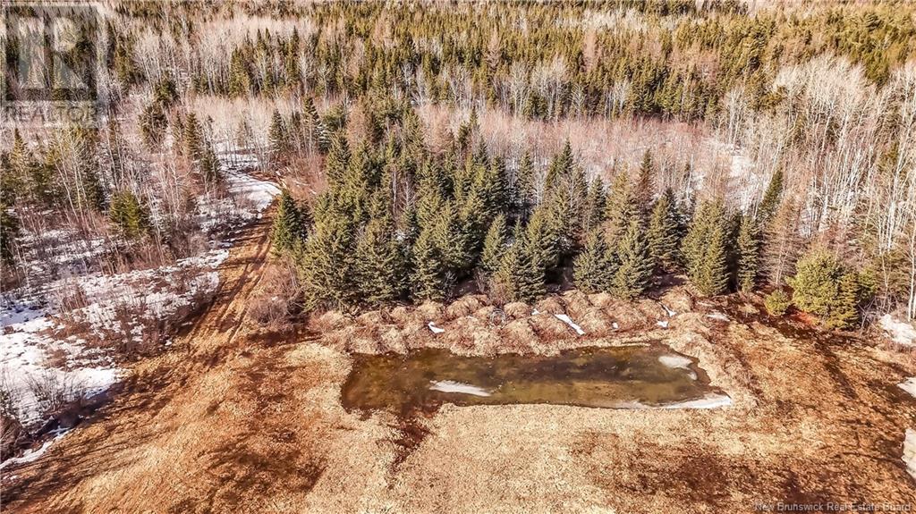 336 Maclaggan Drive, Blackville, New Brunswick  E9B 1H7 - Photo 20 - NB118511