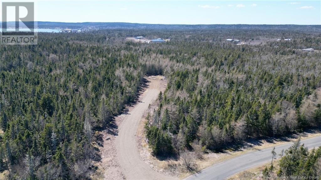Lot 5 Shore Road, Grand Manan, New Brunswick  E5G 3E6 - Photo 6 - NB118634