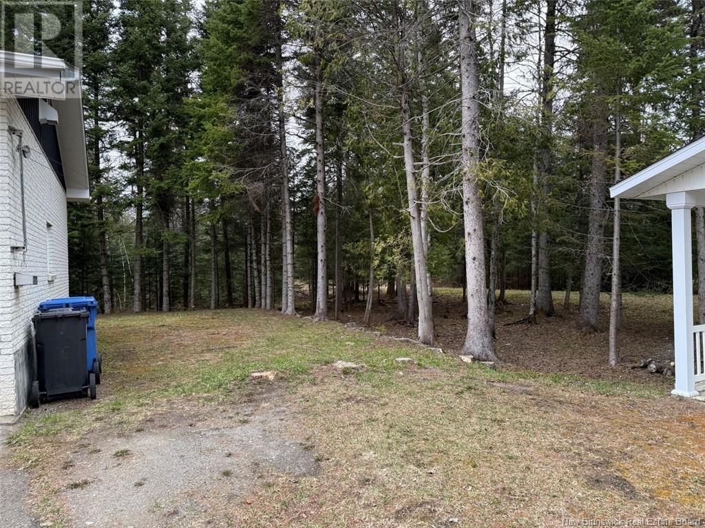 111 Route 260, Saint-Quentin, New Brunswick  E8A 2L5 - Photo 19 - NB118401