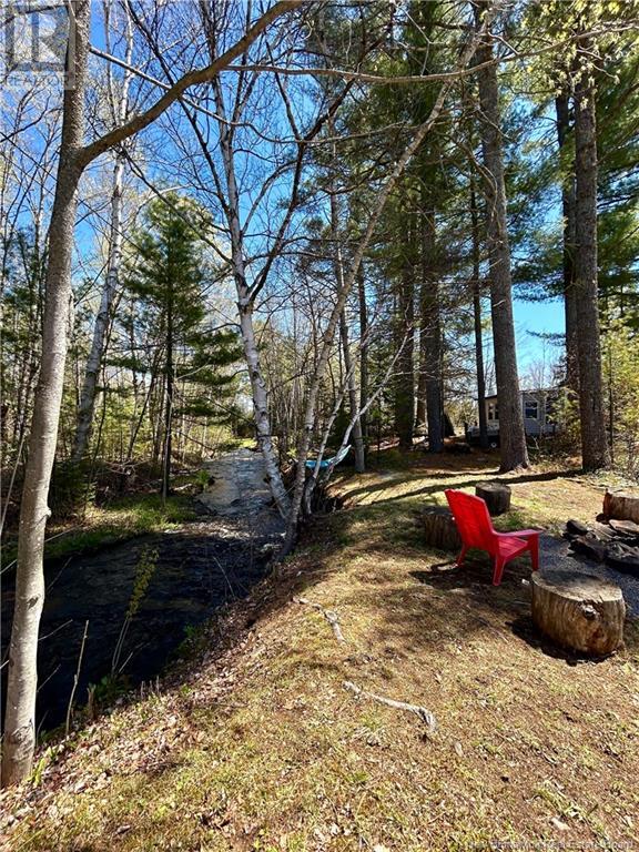 1256 Route 10, Noonan, New Brunswick  E3A 8R1 - Photo 27 - NB118667