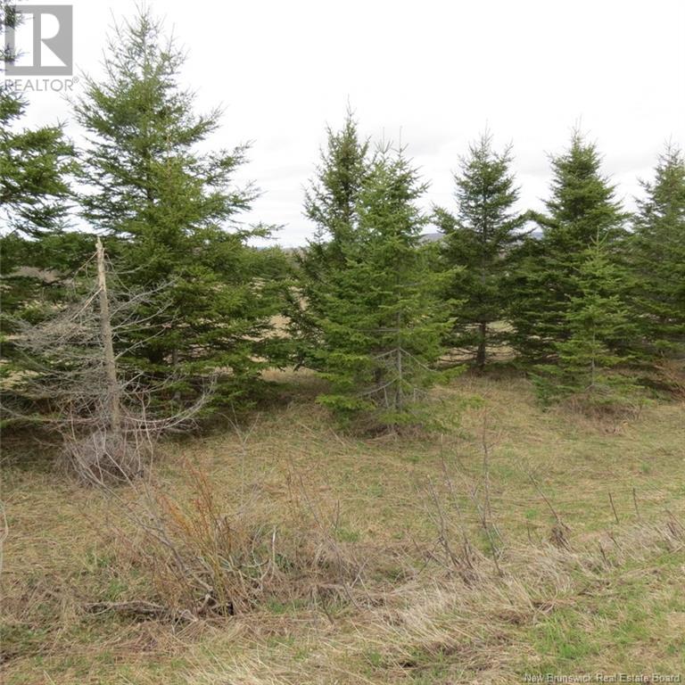 00 Knowlesville Road, Knowlesville, New Brunswick  E4L 4P9 - Photo 4 - NB118839