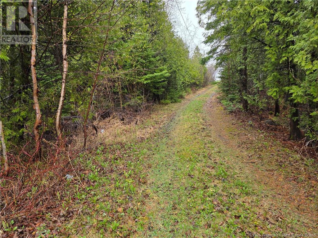 523 Principale, Pointe-Verte, New Brunswick  E8J 2R2 - Photo 12 - NB118769