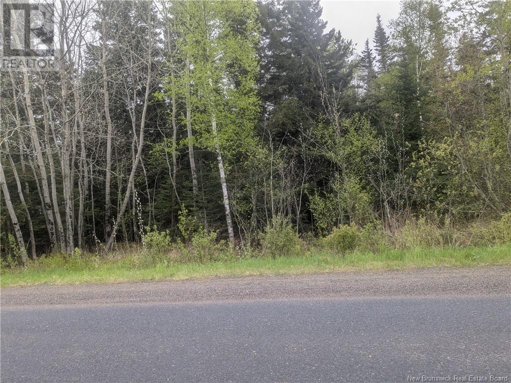Lot 85-26 Swimming Pool Rd., Welshpool, New Brunswick  E5E 1H5 - Photo 2 - NB118870
