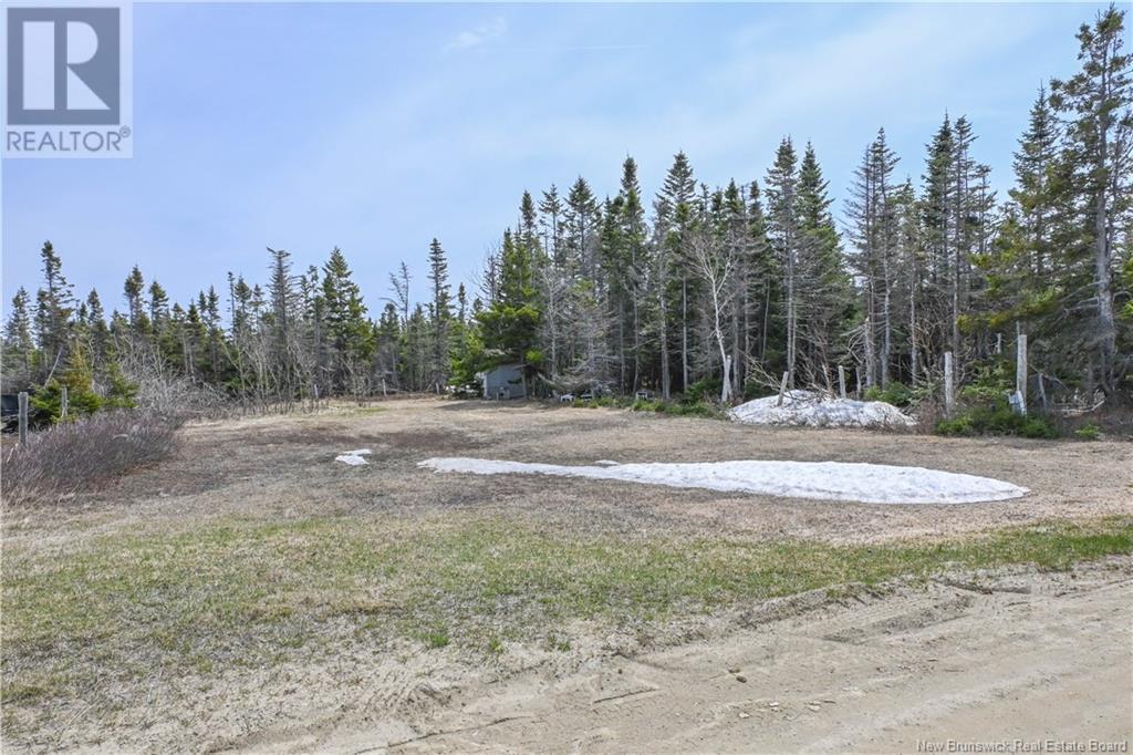 38 Forbes Lane, Pointe-Alexandre, New Brunswick  E8T 1H9 - Photo 4 - NB118888